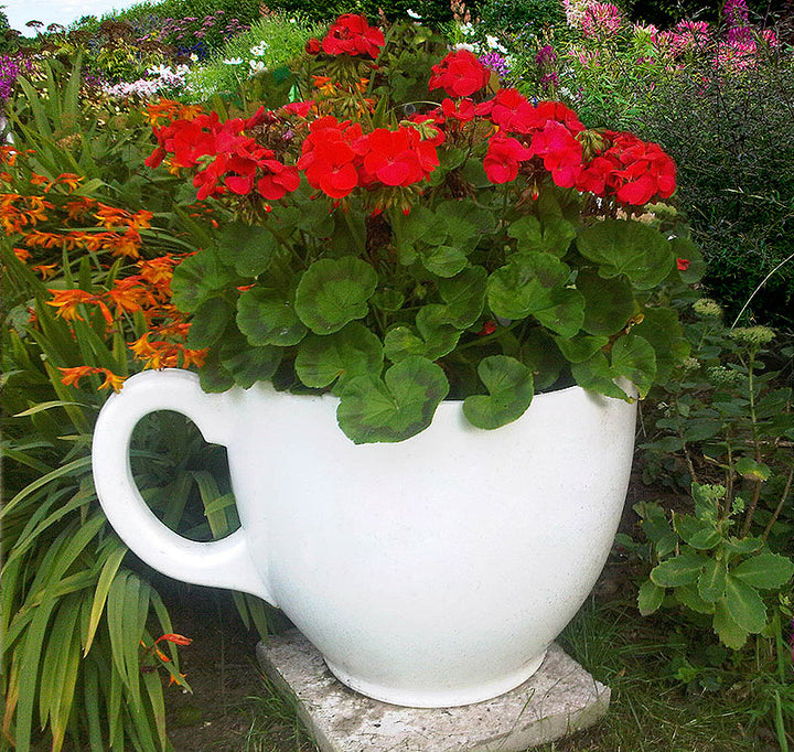 Tea Cup Planter - White Additional 3