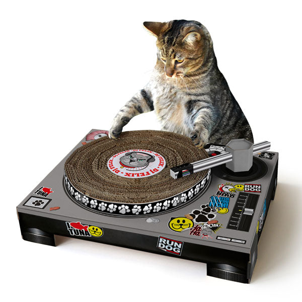 Cat Scratching DJ Deck Additional 1