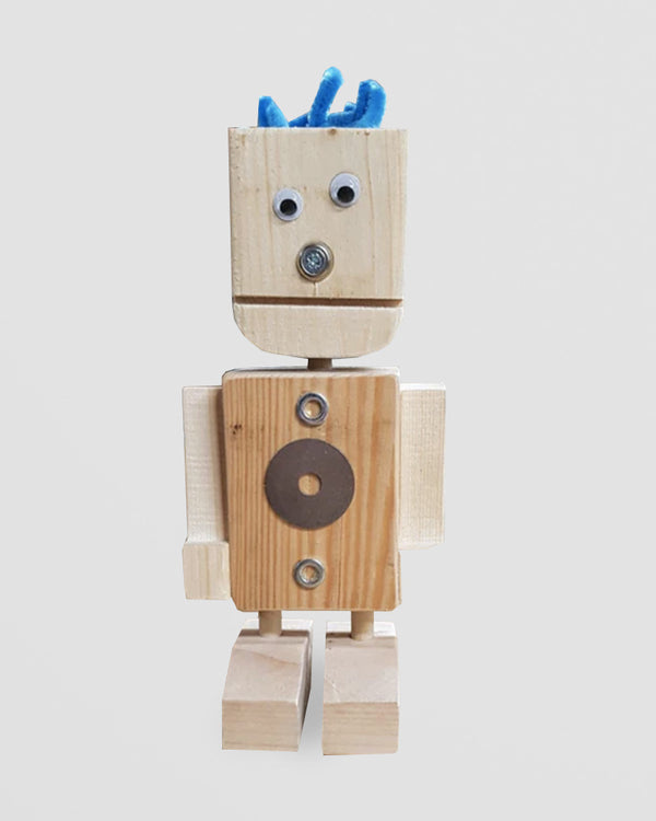 Build your own robot kit