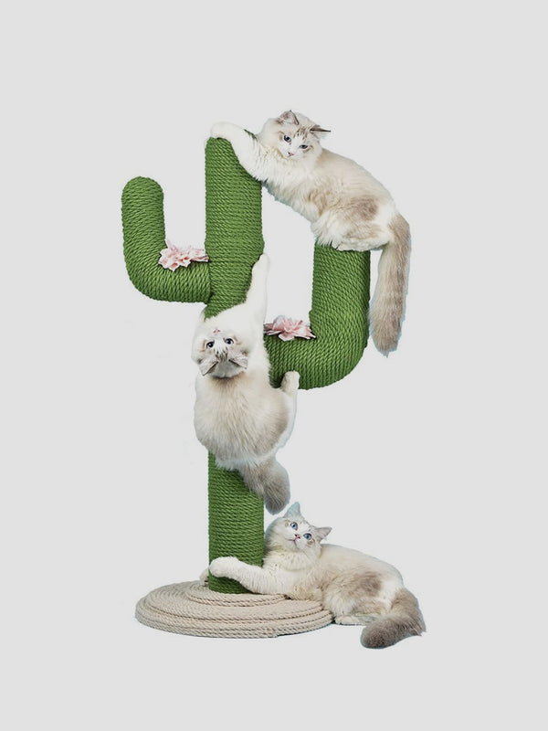 Cactus Cat Scratcher - Quirky Green Sisal Climbing Fun for Cats
