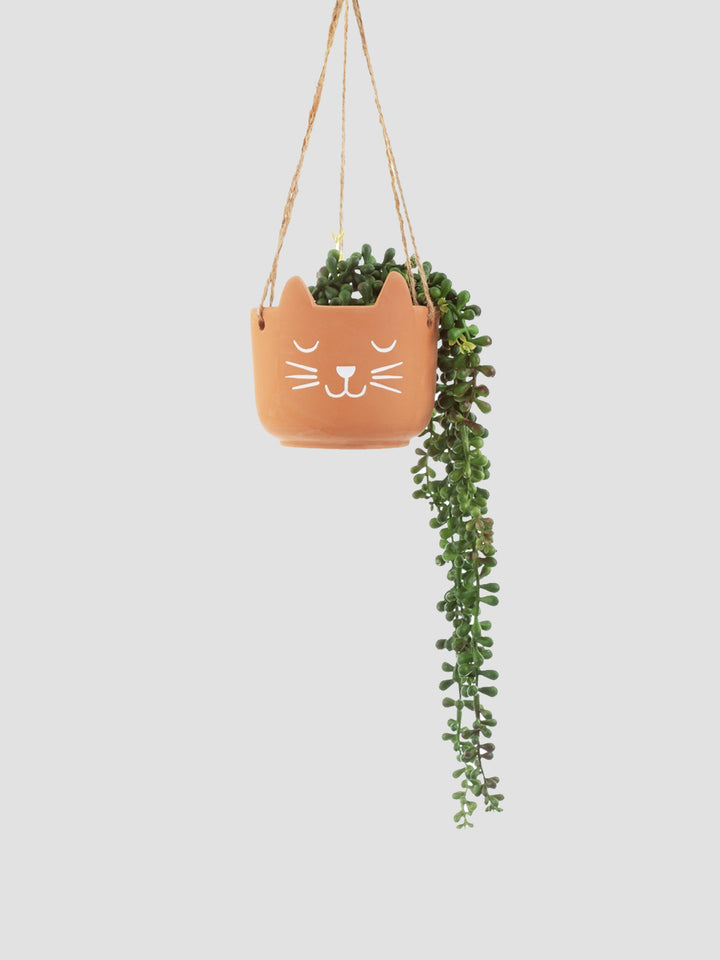 Cat Hanging Planter - Terracotta Kitten Pot with Ears Additional 2