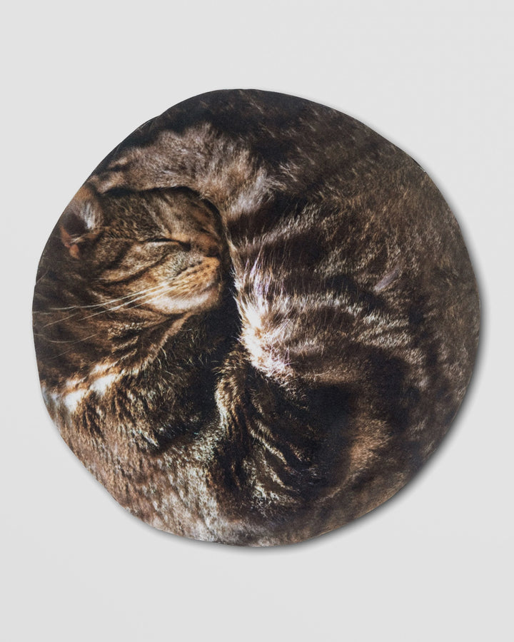Cat Hot Water Bottle Additional 3