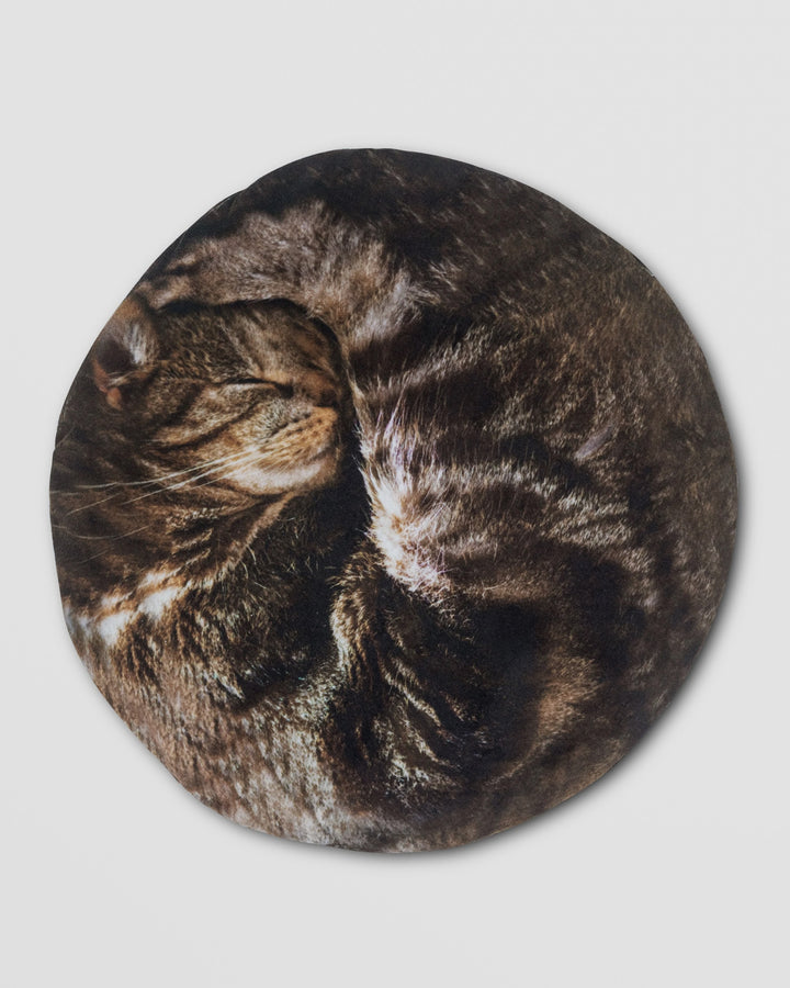 Cat Hot Water Bottle Additional 2