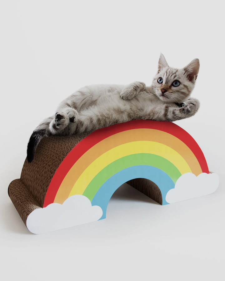 Cat Scratching Rainbow Additional 1