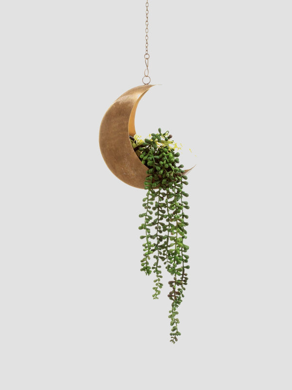 Celestial Moon Hanging Planter, Gold Iron Crescent for Indoor Plants