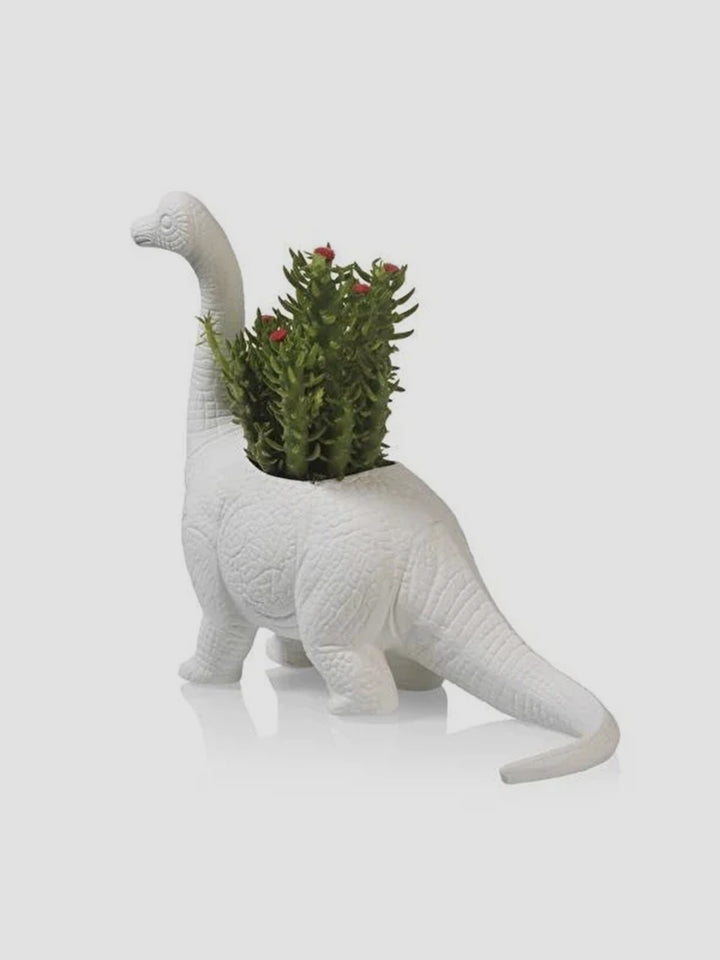 Ceramic Dinosaur Planter - Plantosaurus Diplodocus Pot Additional 2