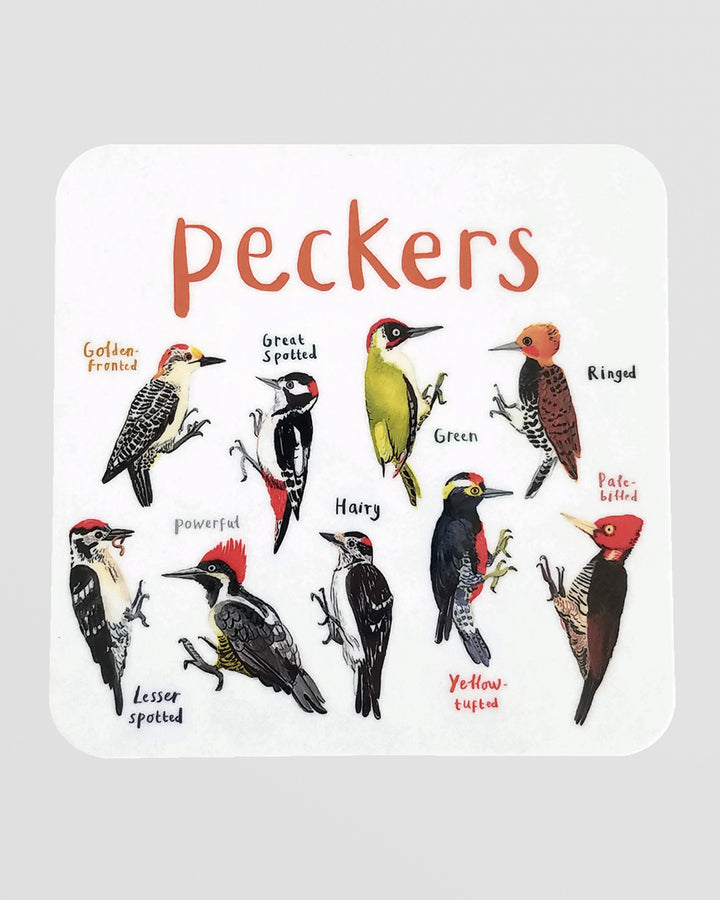 Cheeky Bird Coasters Additional 4