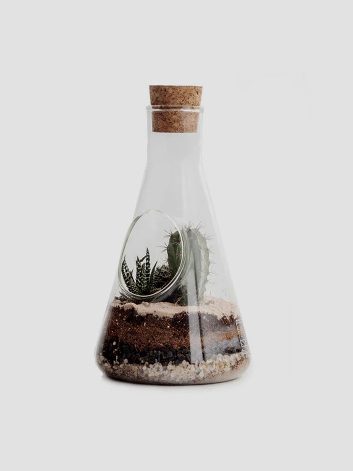 Chemist Terrarium Kit [D] Additional 1