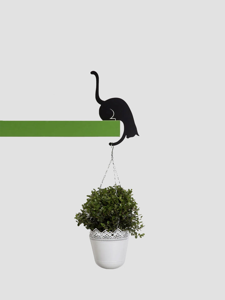 Curious Cat Hook - Black Metal Shelf Hanger for Keys and More Additional 2