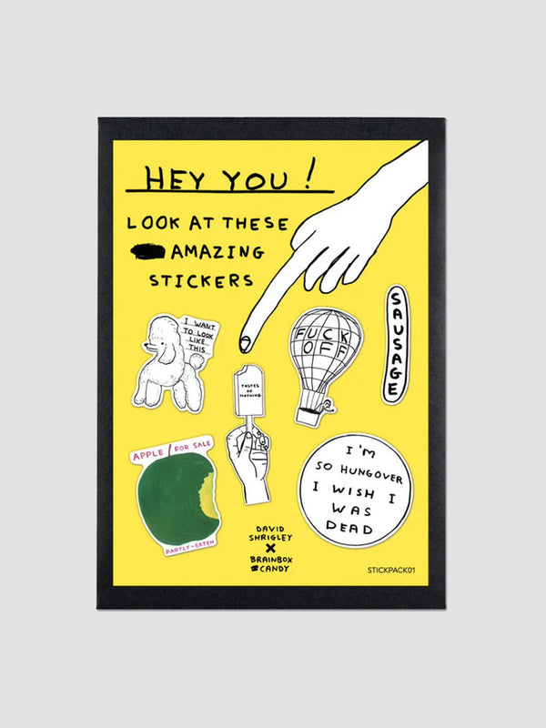 David Shrigley Vinyl Stickers Vol 1
