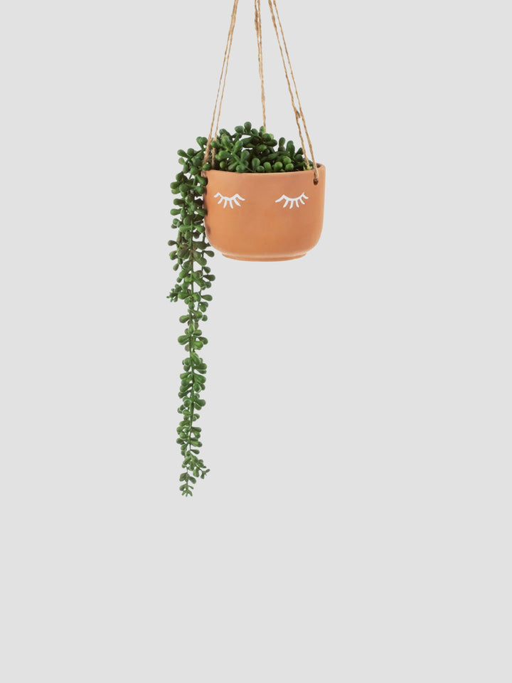 Eyes Shut Terracotta Hanging Planter [D] Additional 2