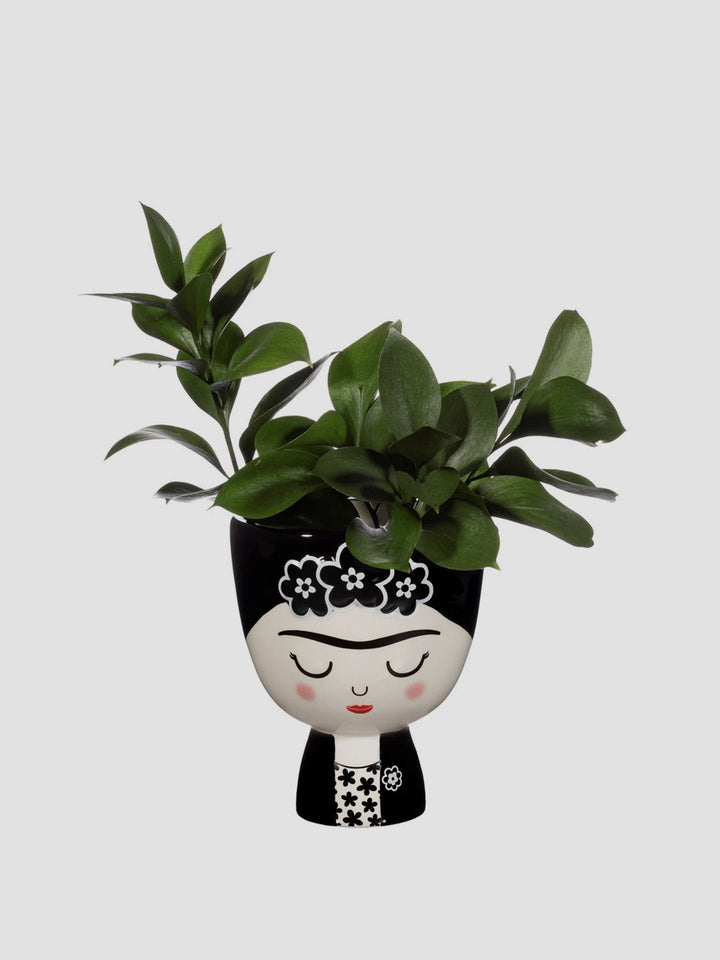 Frida Monochrome Planter Additional 2
