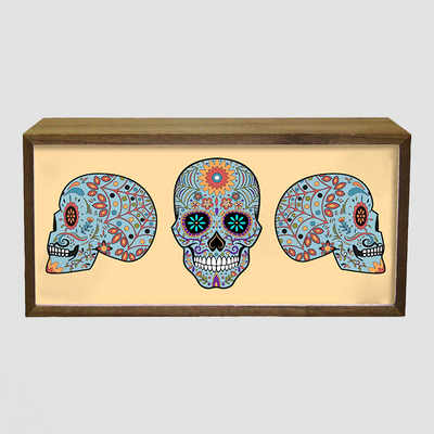 LED Skull Light Box Set – Colourful Calavera Home Decor