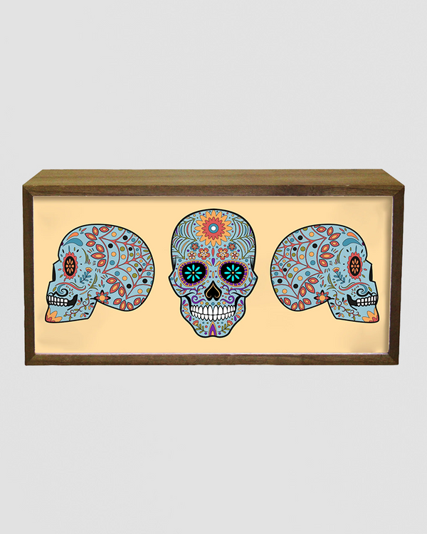 Light Box Home Skull Set