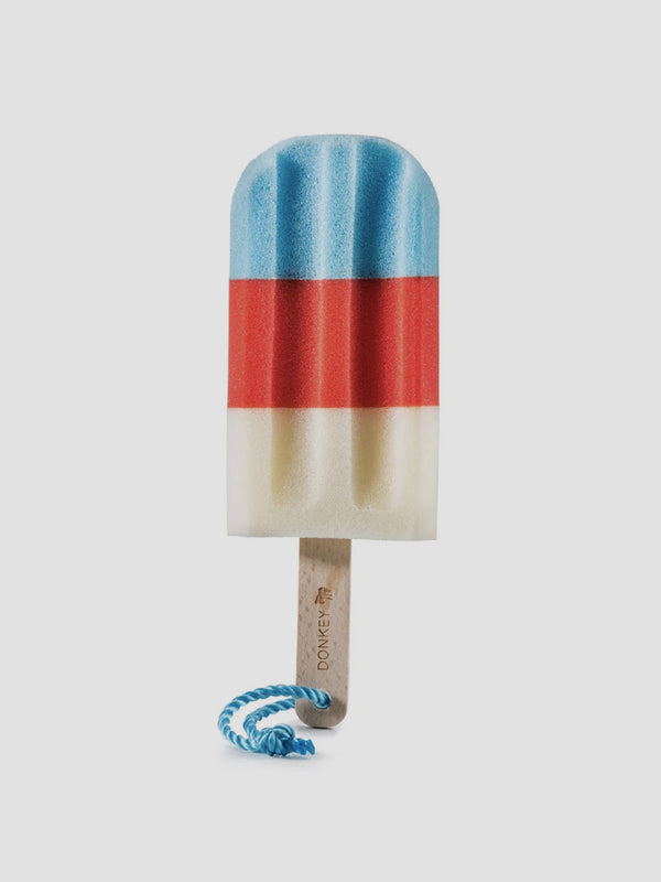 Ice Pop Kitchen Sponge [D]