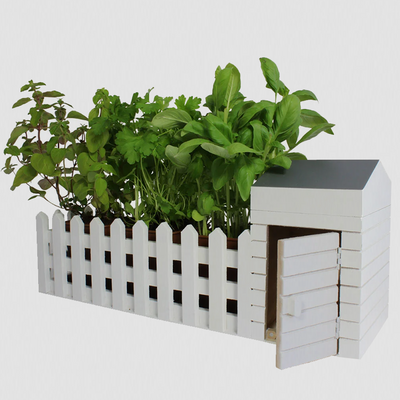 Indoor Herb Planter Box. Mini Wooden Allotment for Kitchens