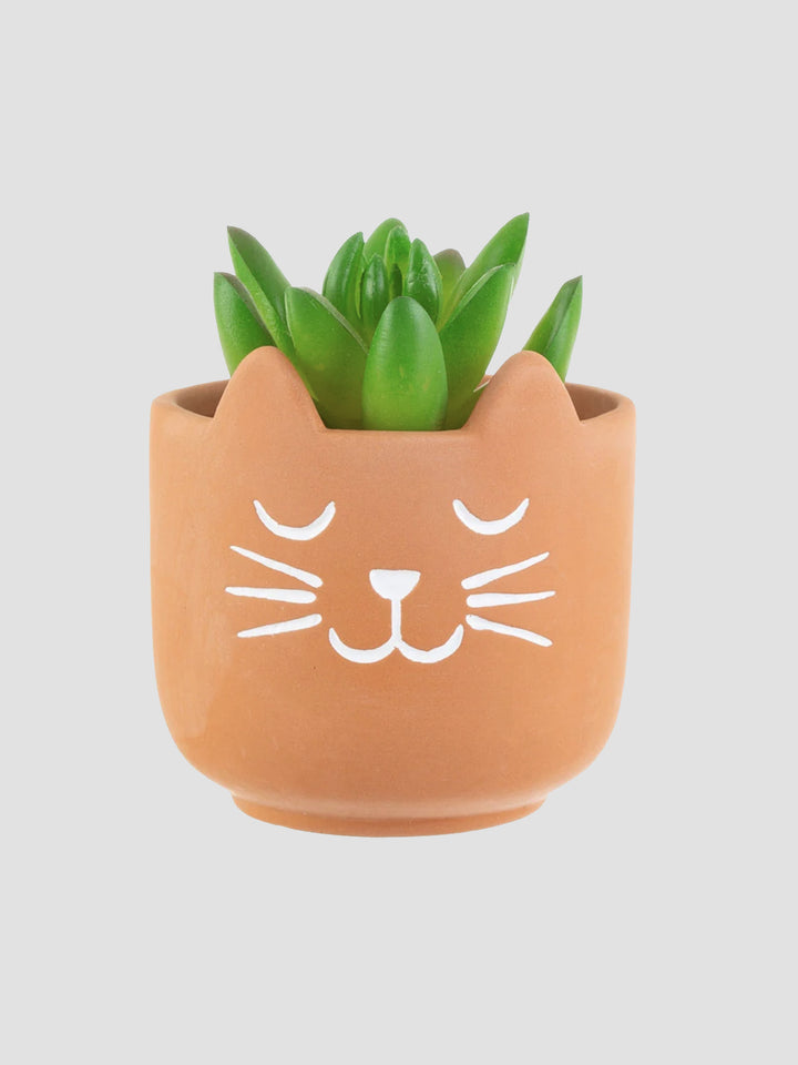 Mini Cat Terracotta Planter, Whiskers Design for Small Plants Additional 2