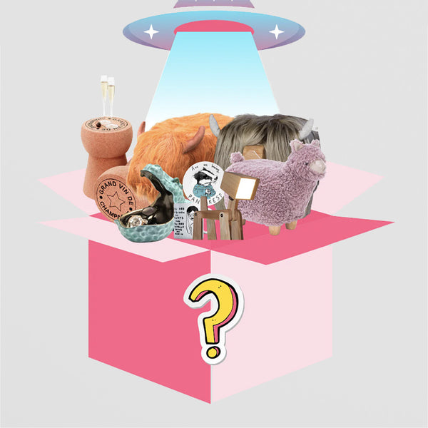 Mystery Box