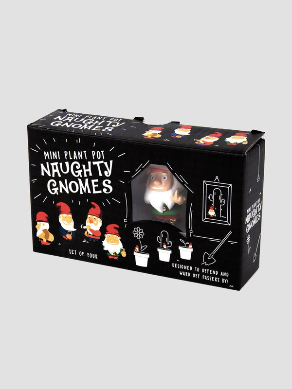 Naughty Gnomes Plant Markers. Mischief in Miniature for Your Pots