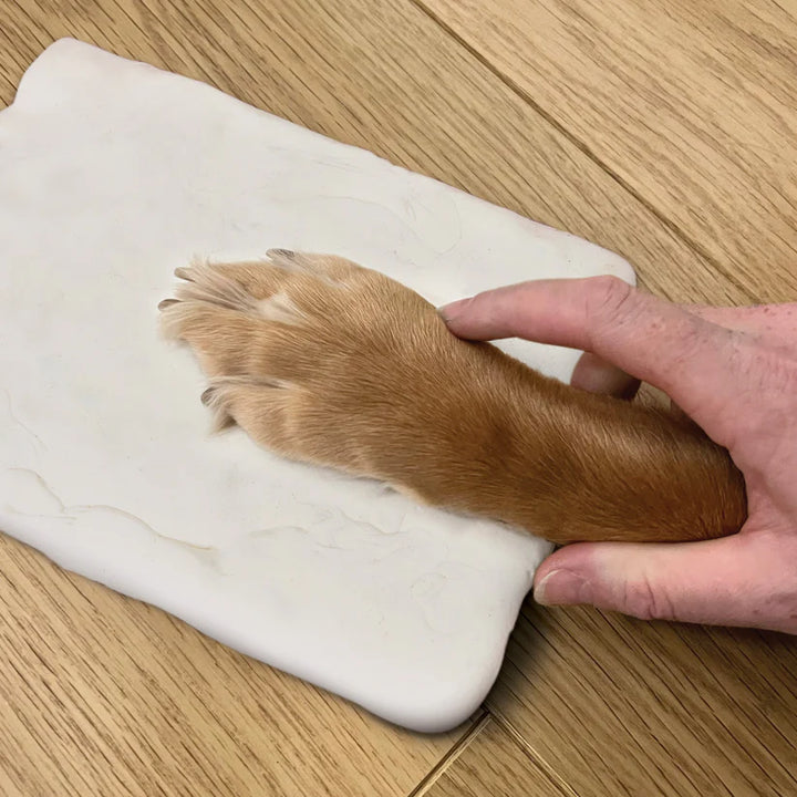 Paw Print Clay Mould Photo Frame Kit Additional 4
