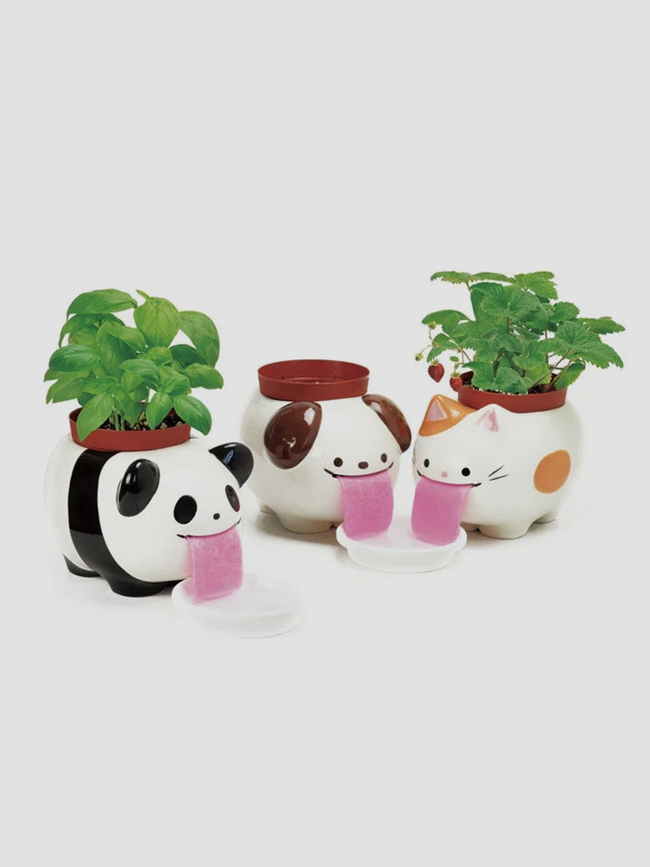Papa Peropon Drinking Animal Planter - Panda Additional 2