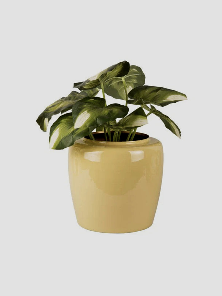 Plant Pot Grand Large - Sage green Additional 2