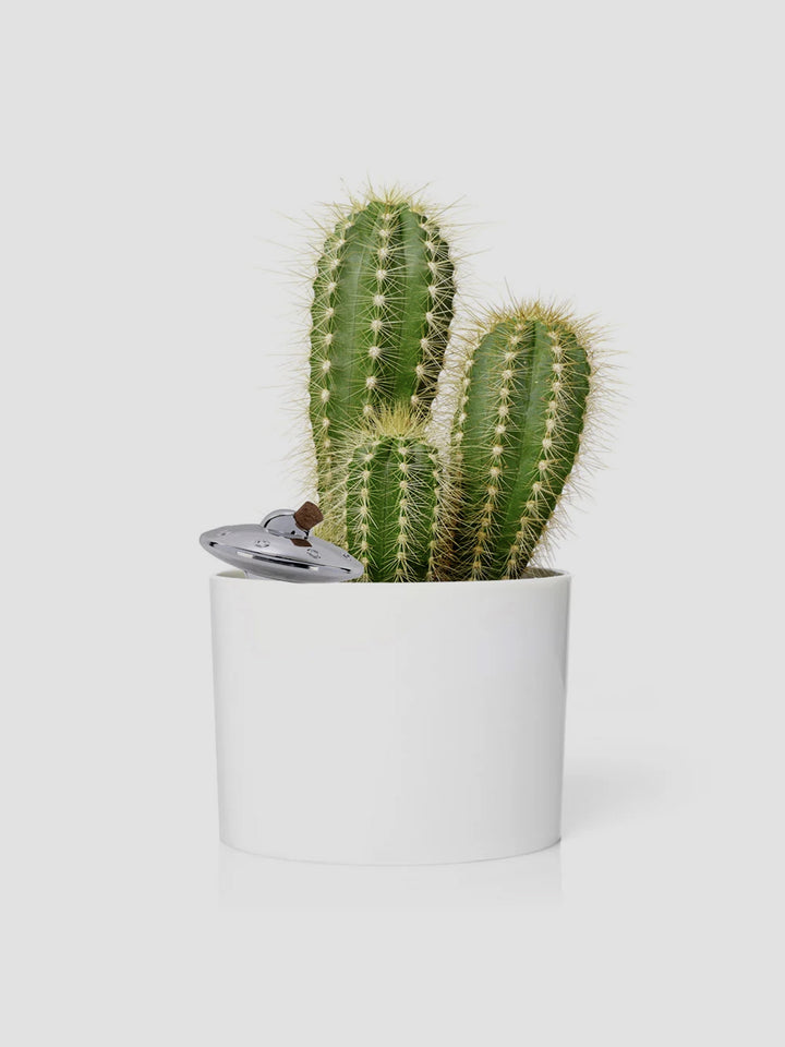 Plant Watering UFO [D] Additional 2