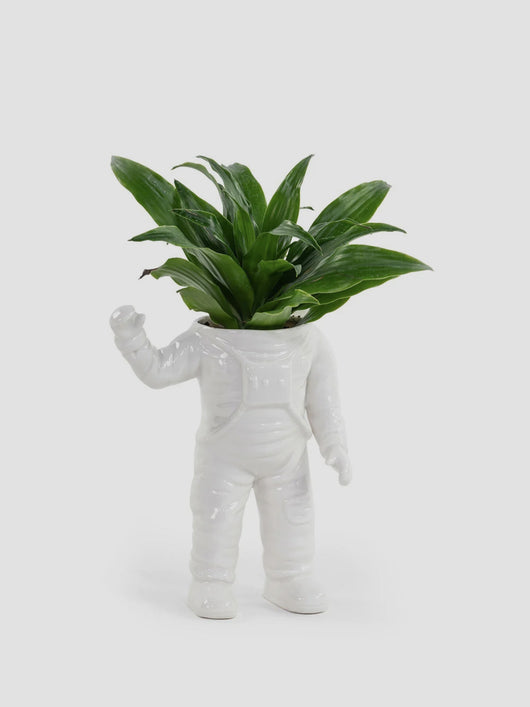 Spaceman Planter - Red Candy