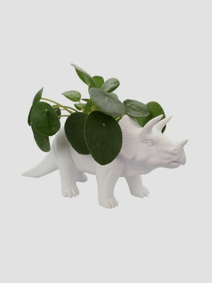 Tricerapot [D] Additional 1
