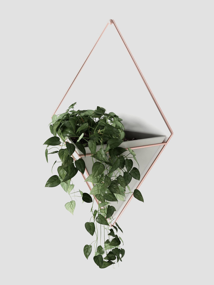Umbra Trigg Wall Vessel Large Copper. Geometric Wall Planter with Style Additional 2