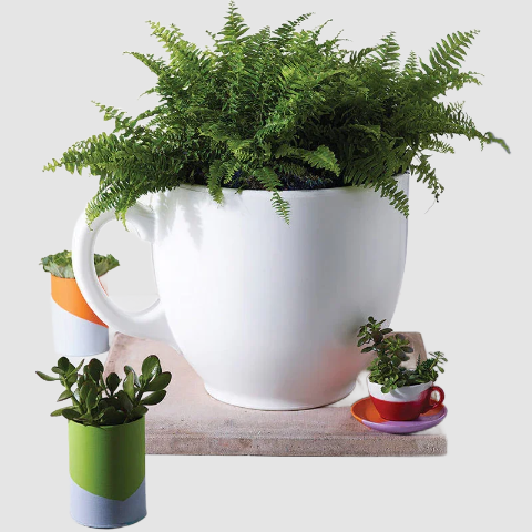 Tea Cup Planter - Giant White Garden Pot with Drainage
