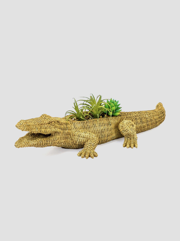 Waylen the Wicker Crocodile Planter [D] Additional 2