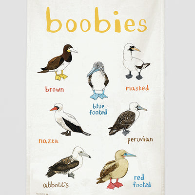 Boobies Tea Towel. Colourful Birds With a Cheeky Name