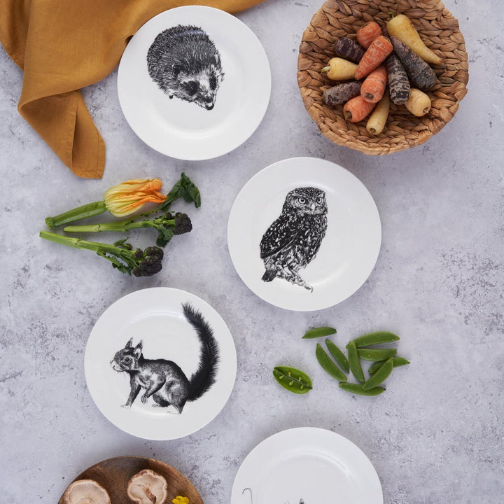British Wildlife Collection  Owl side plate