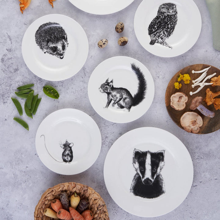 British Wildlife Collection  Squirrel side plate