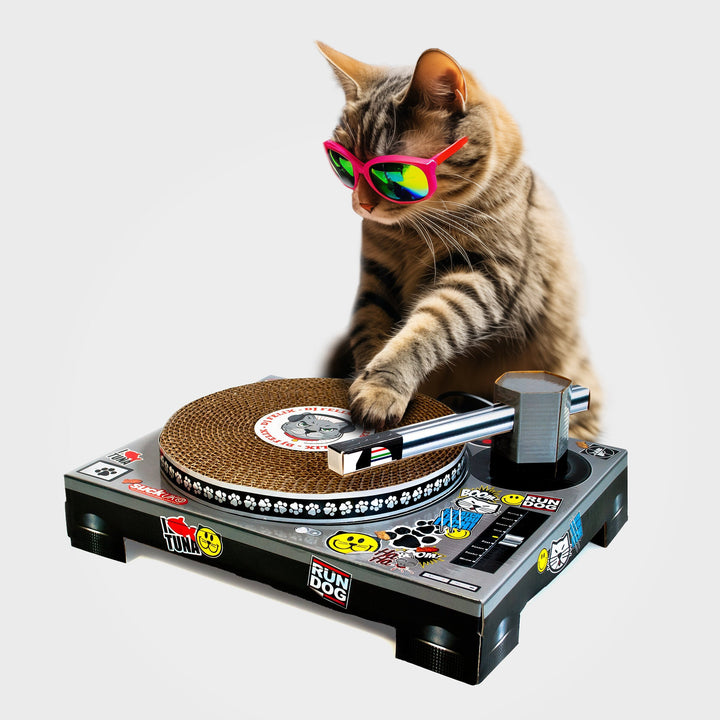 Cat Scratch Turntable