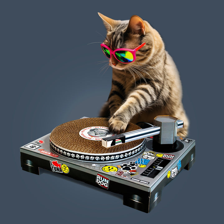 Cat Scratch Turntable