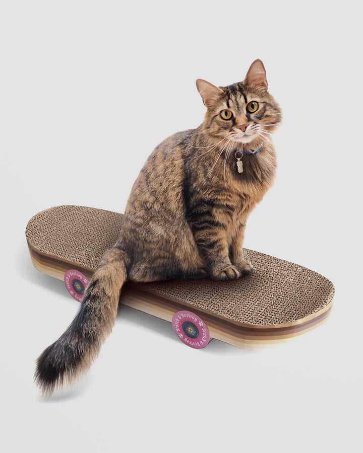 Cat Scratching Skateboard. A Shred-Tastic Spot for Claw Control Additional 1