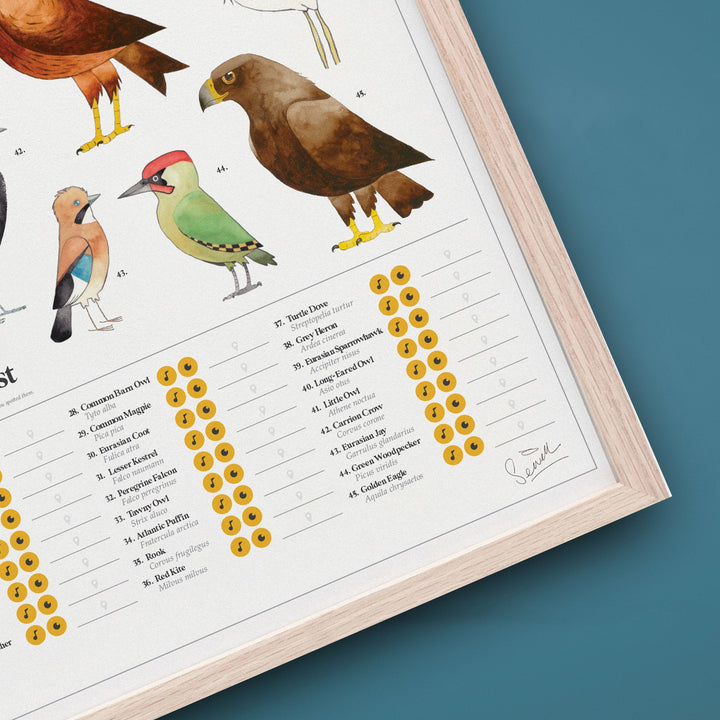 Chartologist  Birds