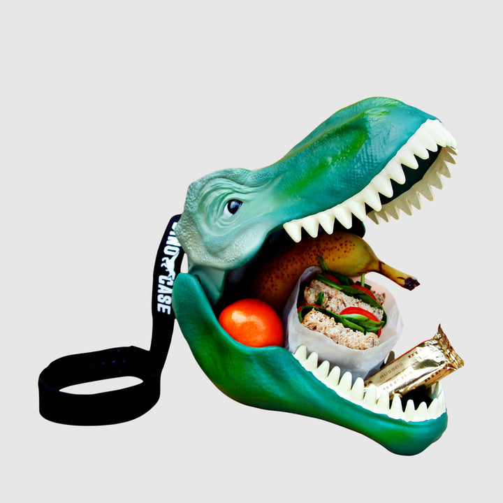 Dinosaur Lunch Box