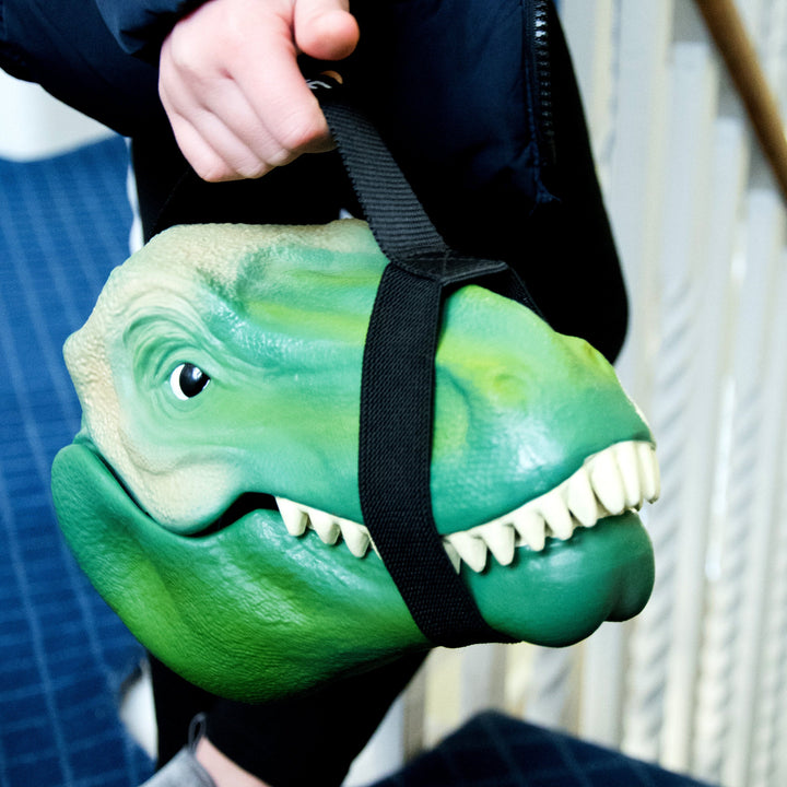 Dinosaur Lunch Box
