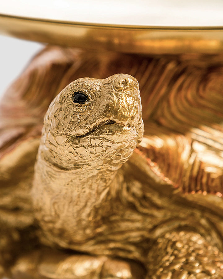 Gold & Bronze Tortoise w/ Gold Tray Additional 3