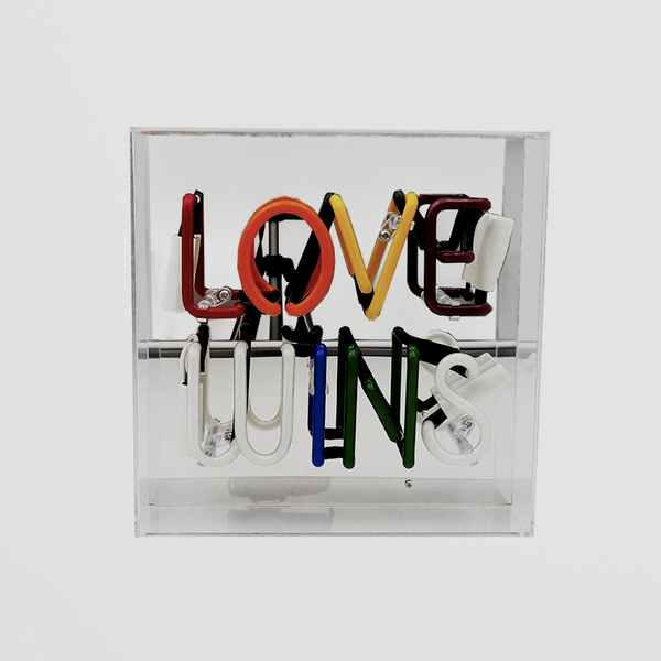 Love Wins Neon Box Light