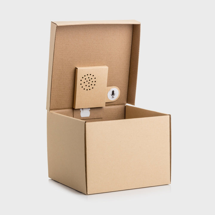 Recordable Message Gift Box