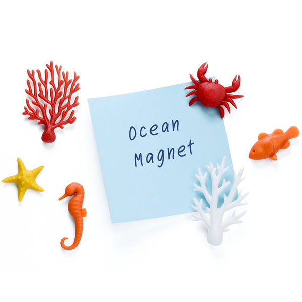 Ocean Ecology Magnets