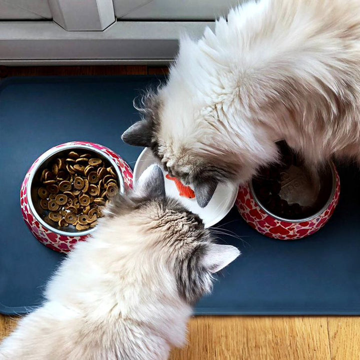 Goldfish Cat Bowl Additional 5