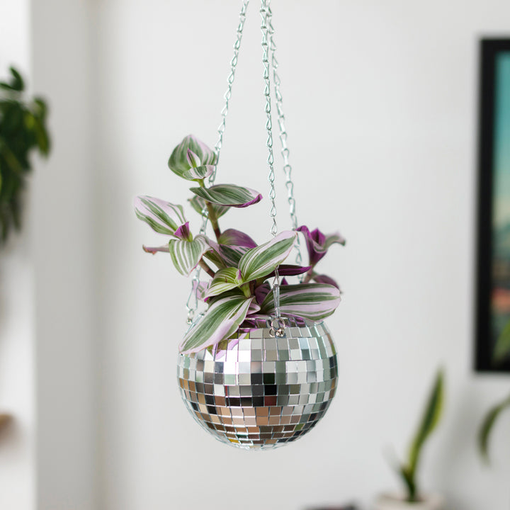 Disco Ball Planter (Medium) Additional 1