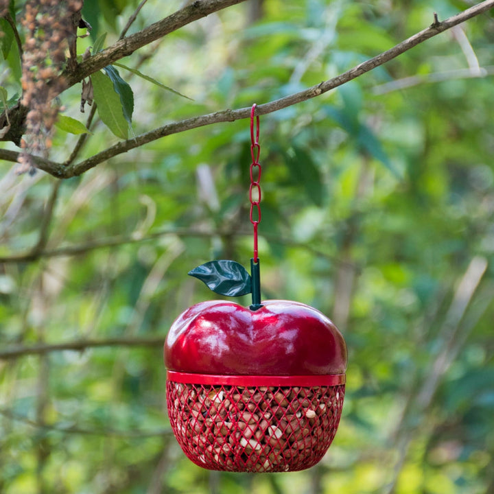 Apple Bird Feeder Additional 2