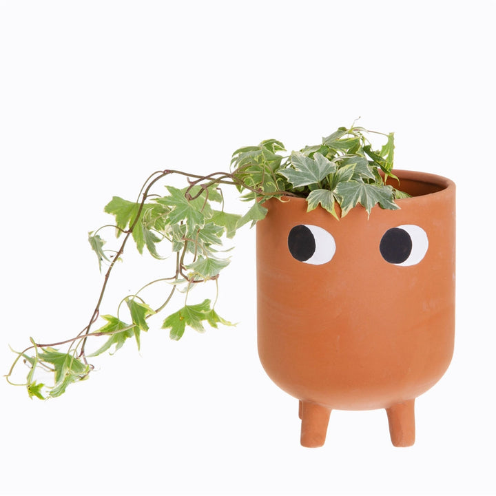 Big Stumpy Planter - Terracotta Plant Pot with Personality Additional 3