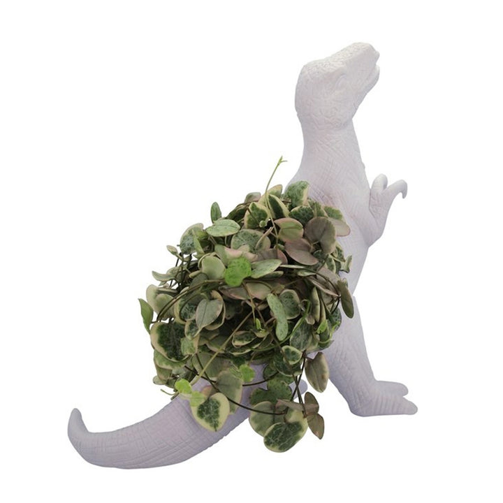 Plantosaurus Rex [D] Additional 3